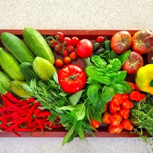 Meet your Posher, R Hughes